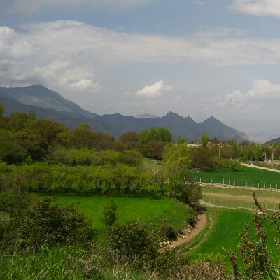 معصومی