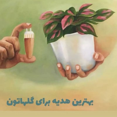 مینا احمدی