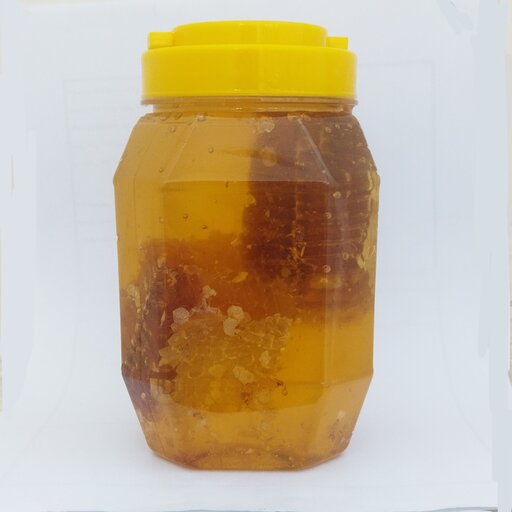 عسل طبیعی با موم چندگیاه  کوهستانی خام تغذیه ارومیه(2کیلو)