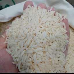 برنج هاشمی درجه 1 سورتینگ شده آستانه اشرفیه اصل تضمینی10کیلویی