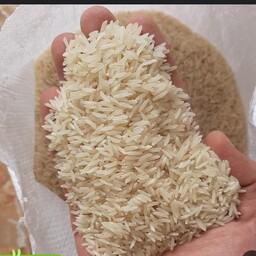 برنج فجر سوزنی شمال درجه 1 دانه بلند کیسه 10 کیلویی