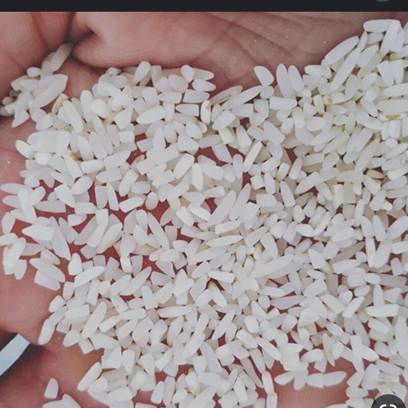 برنج نیم دانه هاشمی آستانه اشرفیه درجه1 کیسه 10 کیلویی