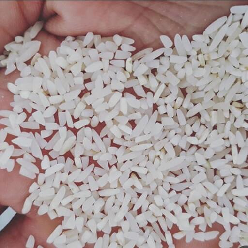 برنج طارم هاشمی نیم دانه درجه 1 سوتینگ شده عطری آستانه کیسه 10کیلویی