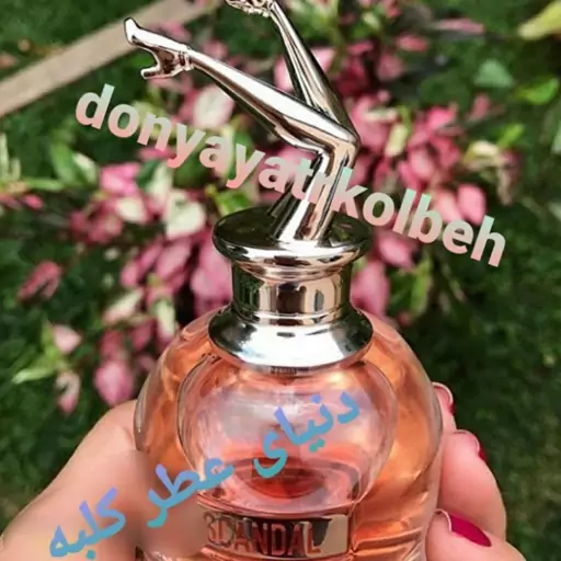 عطر اسکندل ژان پل گوتیه 50 میل