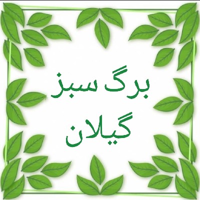 برگ سبز گیلان