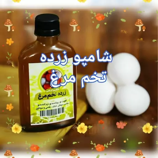 شامپو زرده تخم مرغ رسمی