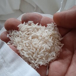 برنج فجر گیلان بشرط پخت عطری(10کیلو)