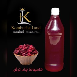 شربت کامبوجا چای ترش