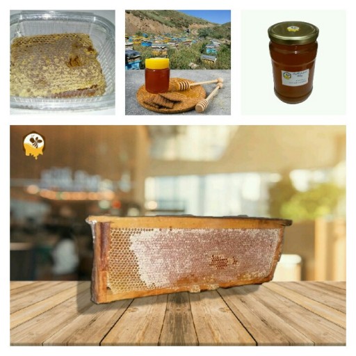 عسل چند گیاه خام دیابتی 500گرم پلنگا ساکارز 1.61 - باسلام