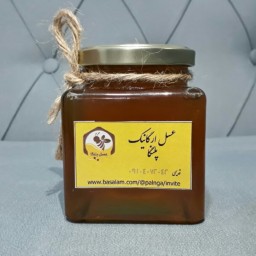 عسل چند گیاه دیابتی پلنگا خلخال ساکارز 1.61
