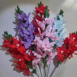 گل گلایل در رنگبندی