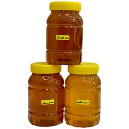 پک عسل های پرفروش ( کوهستان و چهل گیاه و سبلان) ارسال رایگان