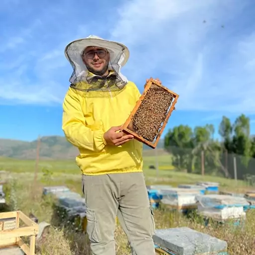 پک عسل های پرفروش ( کوهستان و چهل گیاه و سبلان) ارسال رایگان