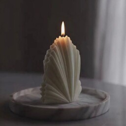شمع برگ نخل بادبزنی