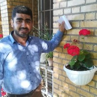 هادی شریفی