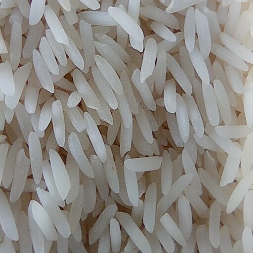 برنج شیرودی ممتاز گرگان بسته بندی 10 کیلوگرمی  شالیزارصادق 