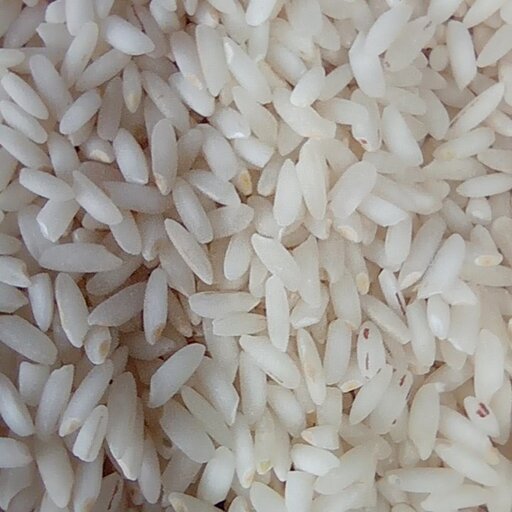 برنج عنبربو دست چین (محسنی)شوشتر بسته بندی  2 کیلوگرمی شالیزارصادق 