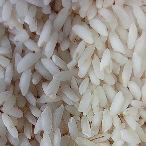 برنج عنبر بو عزیزان بسته بندی 10 کیلو گرمی شالیزارصادق 