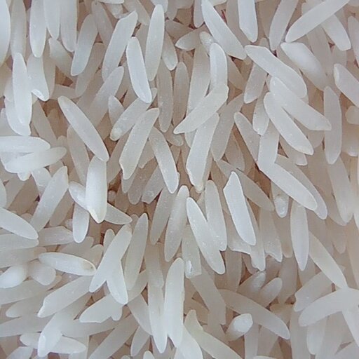 برنج فجر ممتاز گرگان بسته بندی 5 کیلوگرمی شالیزارصادق 
