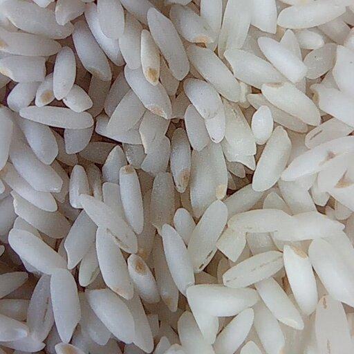 برنج عنبر بو کوثر 10 کیلویی شالیزارصادق