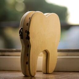 باکس دندان شیری کودک چوبی