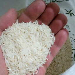 برنج طارم سرگل (نمونه 1 کیلویی )
