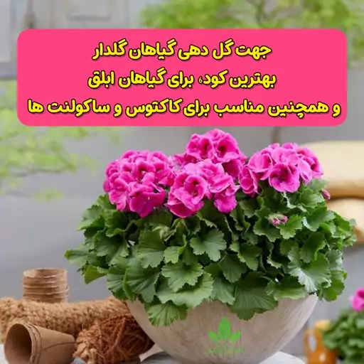 کود گلدهی36-12-12 ( پتاس بالا ) اسپانیایی حجم 50 گرمی 