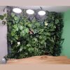 گلدان دیوار سبز