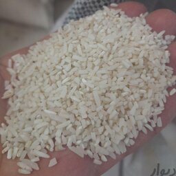 برنج لاشه هاشمی 