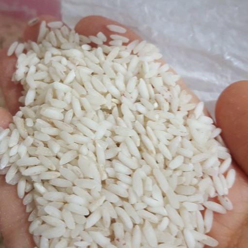 برنج عنبربو گرید 1 ارسال رایگان (فروش ویژه جشنواره باتخفیف شگفت انگیز)