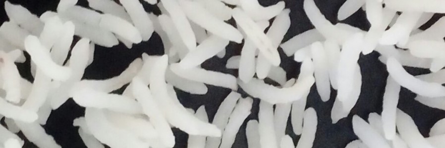 برنج دابو