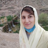 نرگس حسینی