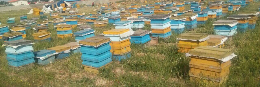 عسل سرای سبلان