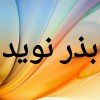 بذر نوید