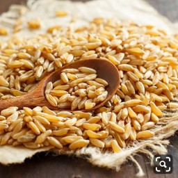 سویق گندم خراسان(400گرم)شاهکار میراث ایران زمین