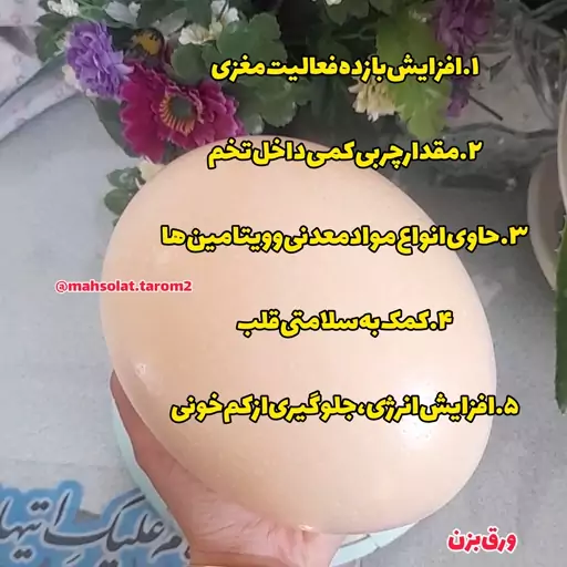 تخم شترمرغ