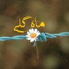 مریم عزیزی