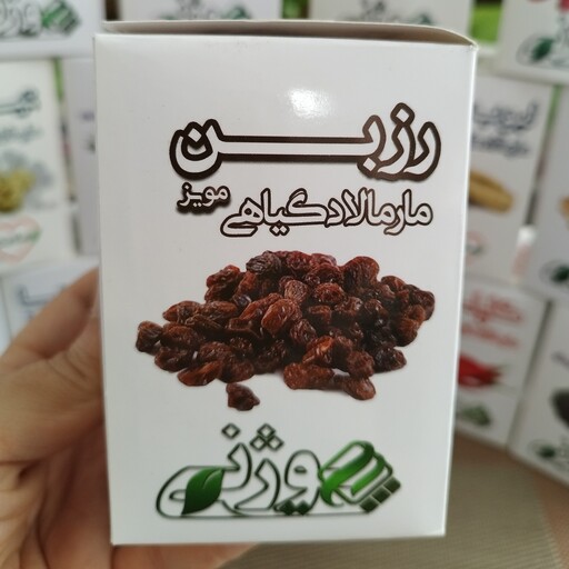 مارمالاد گیاهی مویز (رزبن) تقویت بدن 