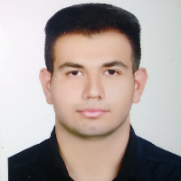 محمد جواد ستاری