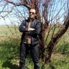 محمد مهدی