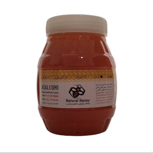 عسل کُنار اصل -1000 گرم - عسل سدر اصلی ، ارگانیک خام و سالم 