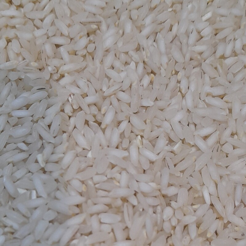 برنج عنبربو اعلا جنوب بصورت عمده فروشی              