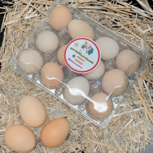 تخم مرغ محلی،اُرگانیک و بدون آنتی بیوتیک 12عددی