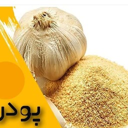 پودر سیر 