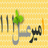 امیرعسل111