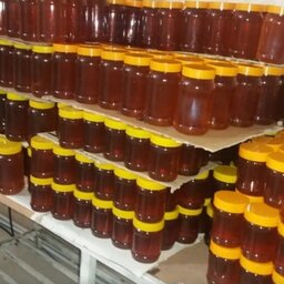 عسل طبیعی عمده  20  عدد 1 کیلویی بدون برچسب (خرید از زنبوردار نمونه و ارسال رایگان)