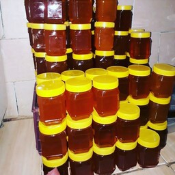 عسل طبیعی عمده  30  عدد نیم کیلویی بدون برچسب (خرید از زنبوردار نمونه و ارسال رایگان)