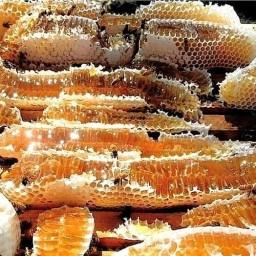عسل خالص و طبیعی با موم طبیعی و خود بافت،در بسته بندی یک تا دو کیلو