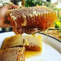عسل مومی کوهستان.طبیعی و خوش طعم