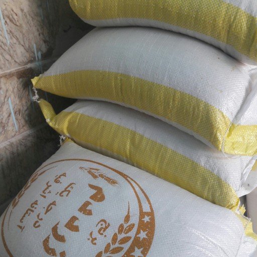برنج هاشمی  در بسته های 10 کیلویی محصول   1402 استانه اشرفیه